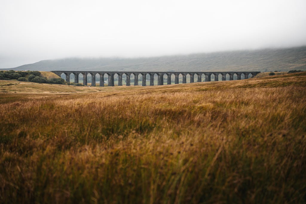 yorkshire